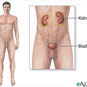 Detect Uti - Urinary Medication Or Remedy For UTI-  Which One Should I Try?