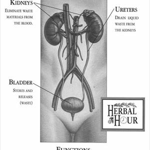 References Bladder Infection 